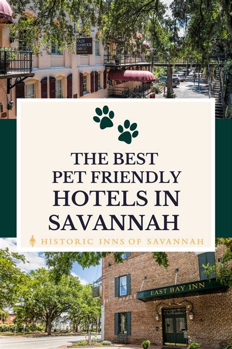 Top Pet Friendly Hotels in Georgia .